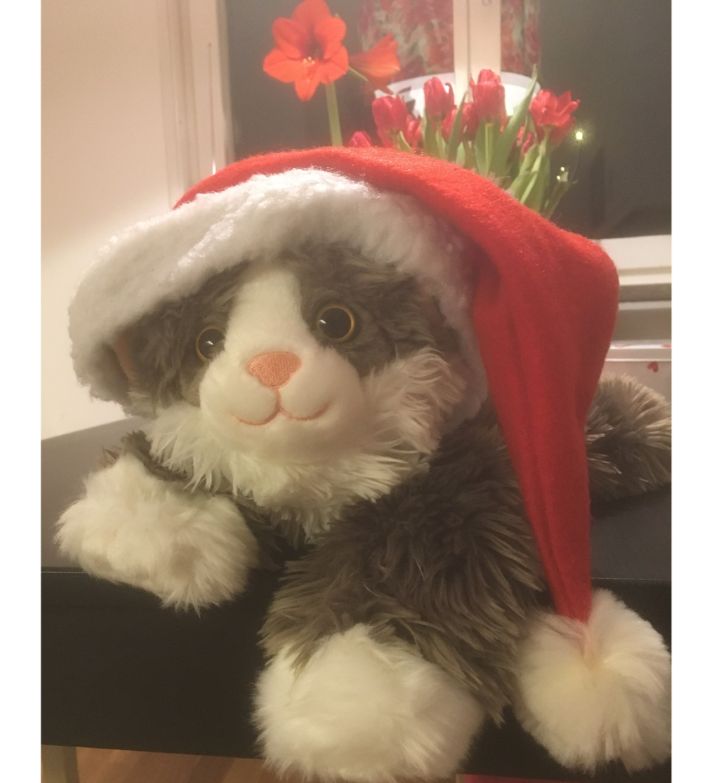 Pysen kissa dementianukke joulu