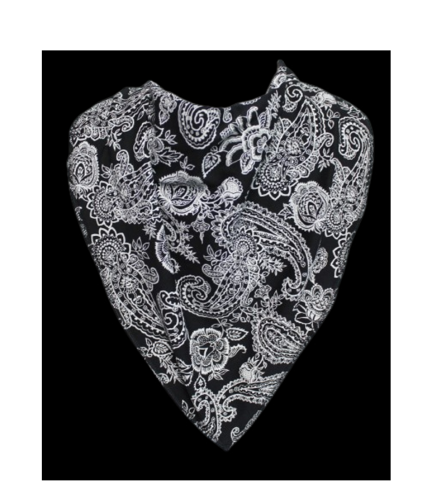 Bib saliv skydd size 4 paisley svart 2