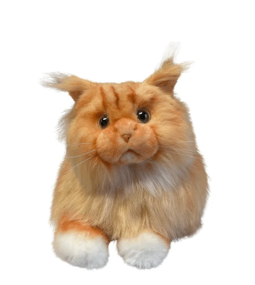 ravencourt digital terapi katt med lysande ögon